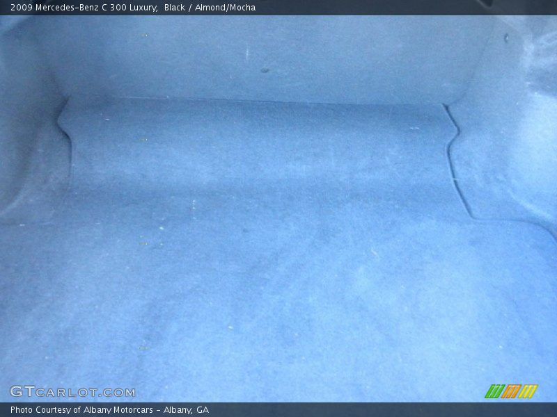 Black / Almond/Mocha 2009 Mercedes-Benz C 300 Luxury