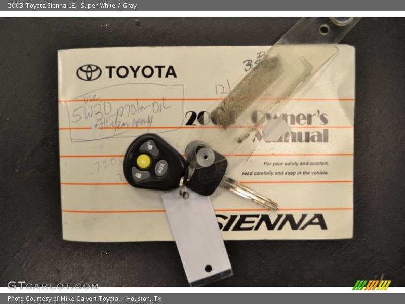 Super White / Gray 2003 Toyota Sienna LE
