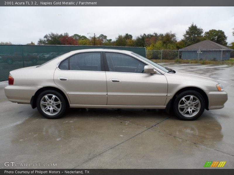  2001 TL 3.2 Naples Gold Metallic