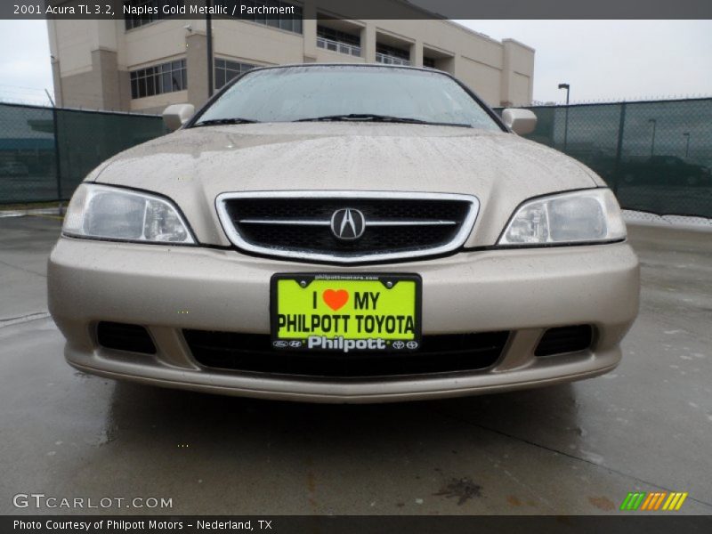 Naples Gold Metallic / Parchment 2001 Acura TL 3.2
