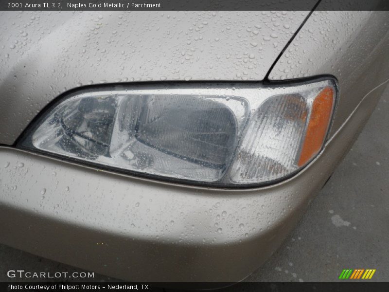 Naples Gold Metallic / Parchment 2001 Acura TL 3.2