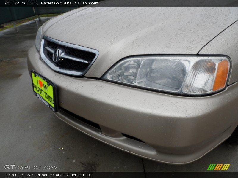 Naples Gold Metallic / Parchment 2001 Acura TL 3.2