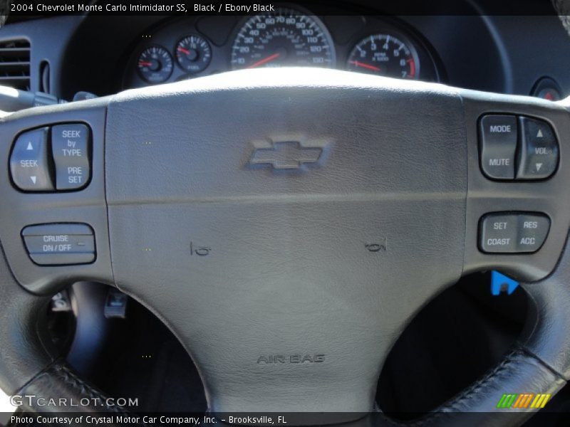 Controls of 2004 Monte Carlo Intimidator SS