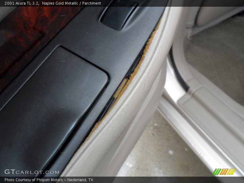 Naples Gold Metallic / Parchment 2001 Acura TL 3.2