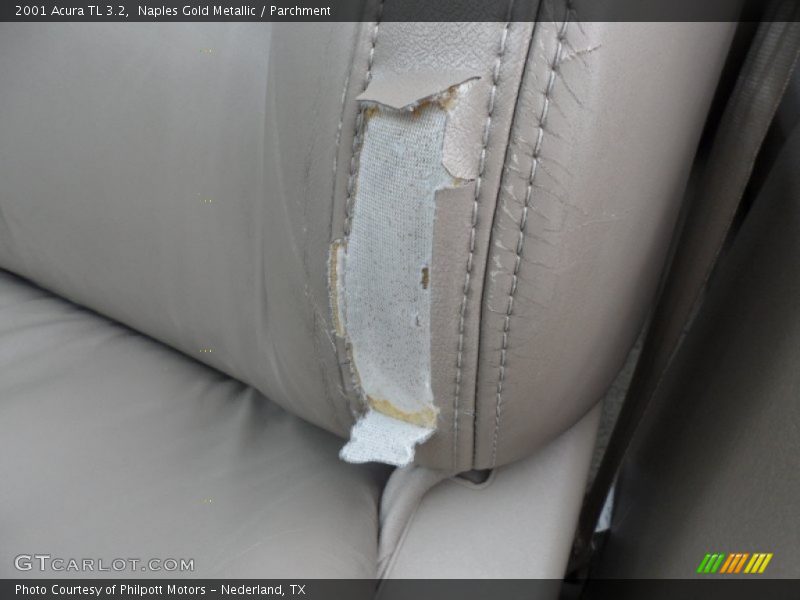 Naples Gold Metallic / Parchment 2001 Acura TL 3.2