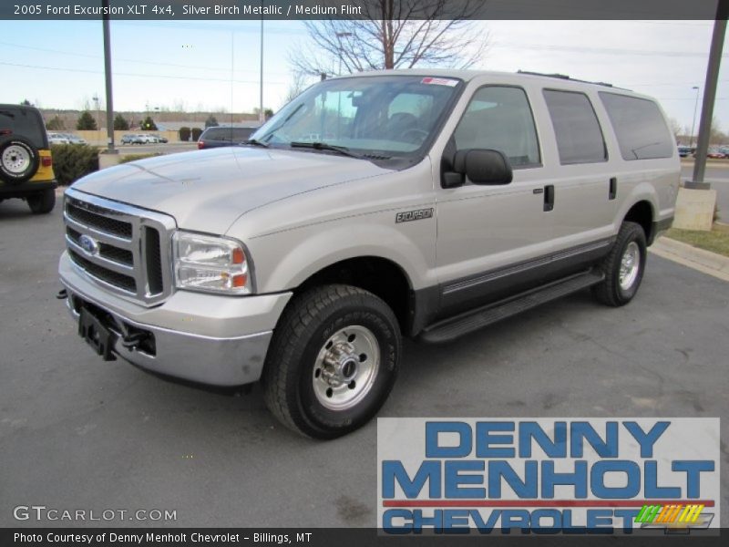 Silver Birch Metallic / Medium Flint 2005 Ford Excursion XLT 4x4