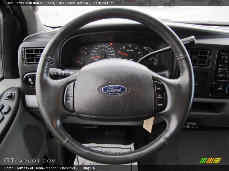 Silver Birch Metallic / Medium Flint 2005 Ford Excursion XLT 4x4