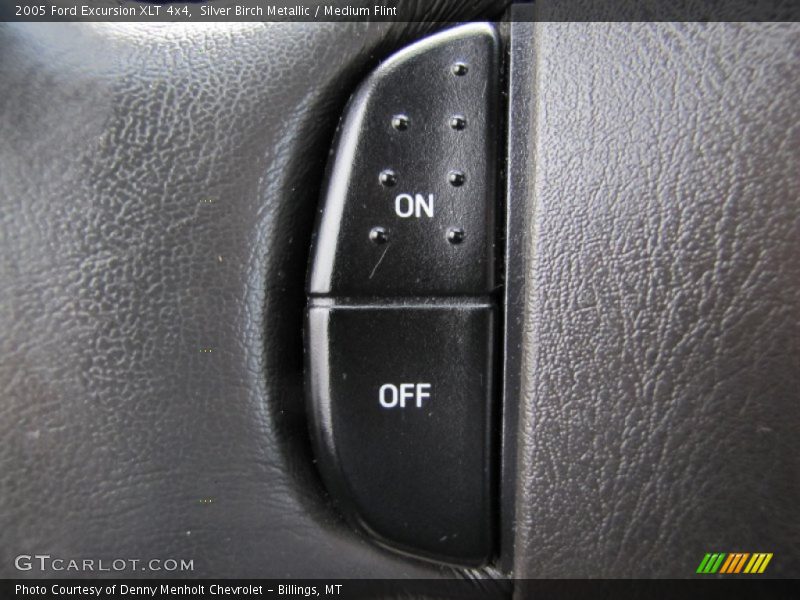 Silver Birch Metallic / Medium Flint 2005 Ford Excursion XLT 4x4