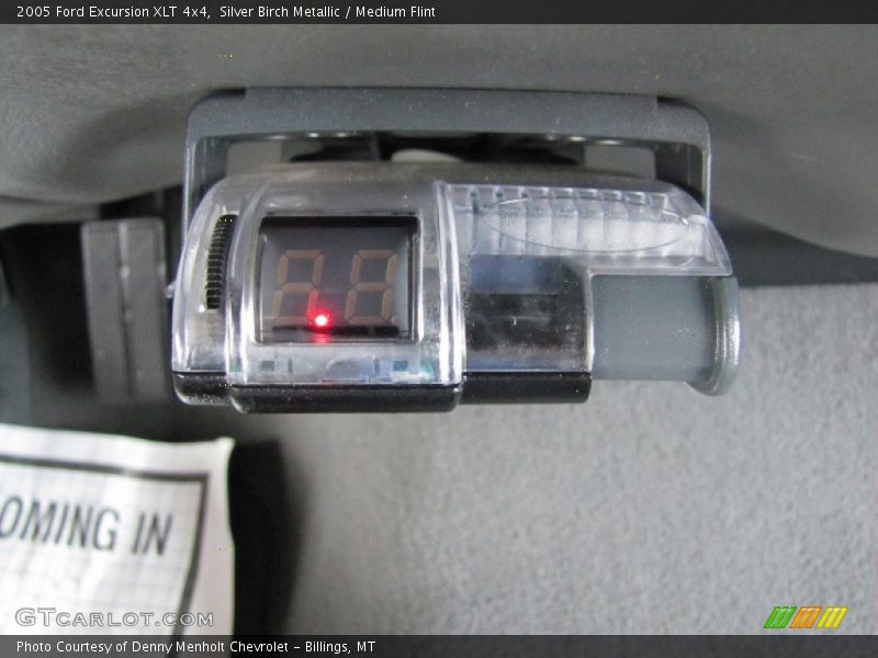 Silver Birch Metallic / Medium Flint 2005 Ford Excursion XLT 4x4