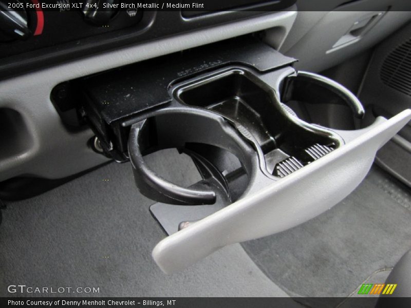 Silver Birch Metallic / Medium Flint 2005 Ford Excursion XLT 4x4