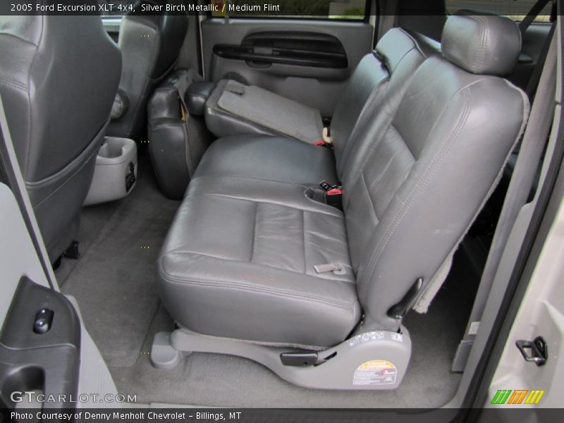 Silver Birch Metallic / Medium Flint 2005 Ford Excursion XLT 4x4