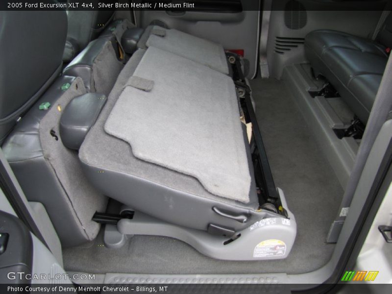 Silver Birch Metallic / Medium Flint 2005 Ford Excursion XLT 4x4