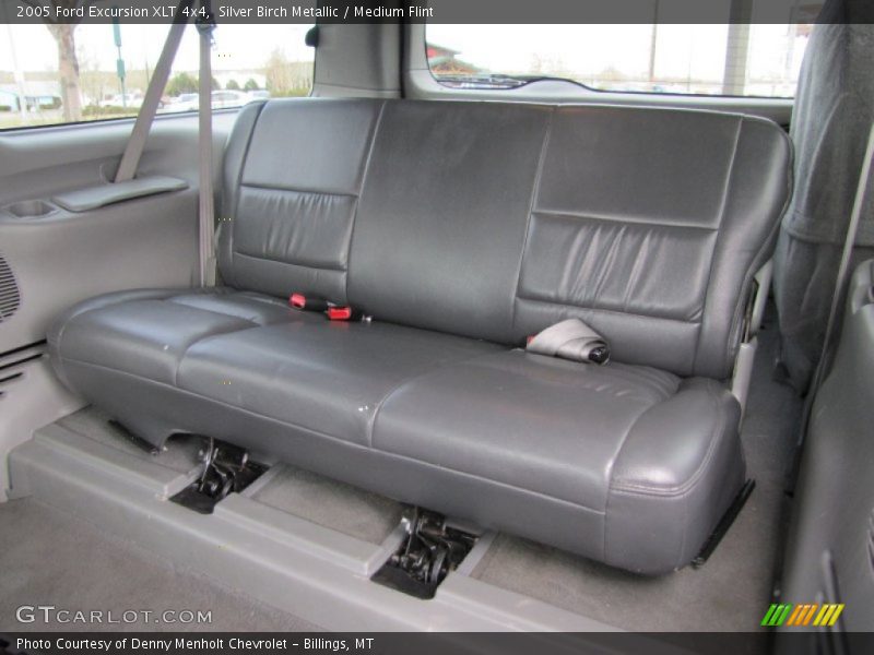 Silver Birch Metallic / Medium Flint 2005 Ford Excursion XLT 4x4