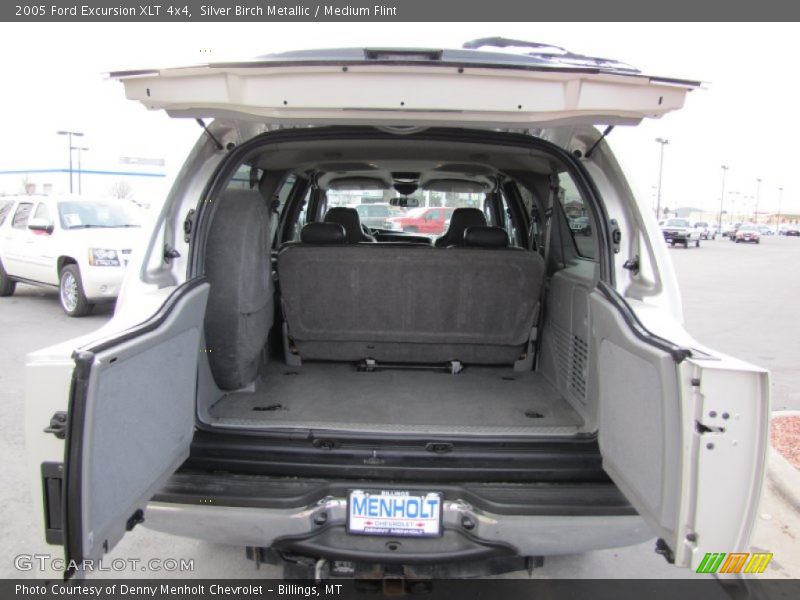 Silver Birch Metallic / Medium Flint 2005 Ford Excursion XLT 4x4