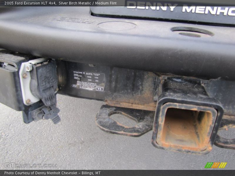Silver Birch Metallic / Medium Flint 2005 Ford Excursion XLT 4x4