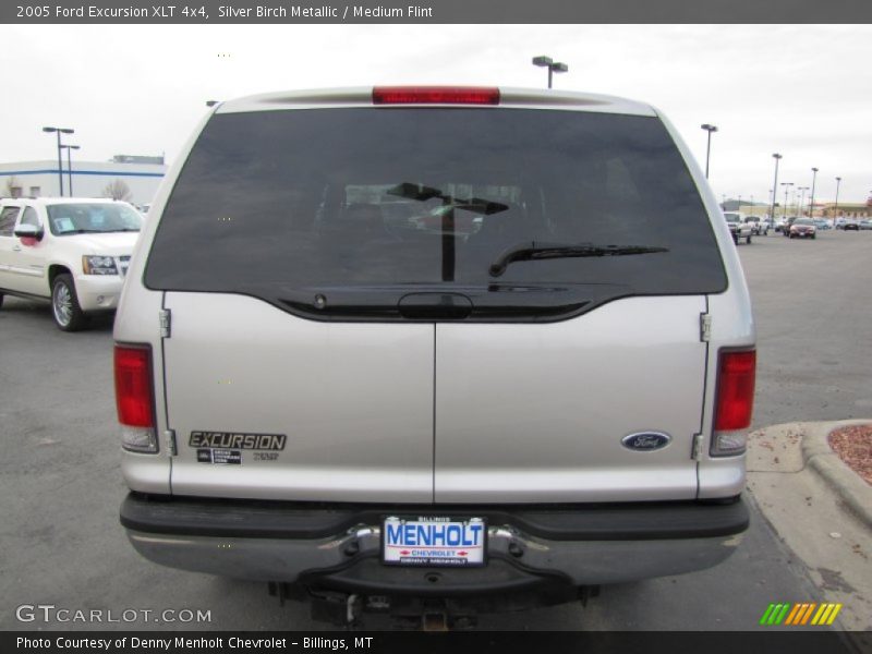 Silver Birch Metallic / Medium Flint 2005 Ford Excursion XLT 4x4