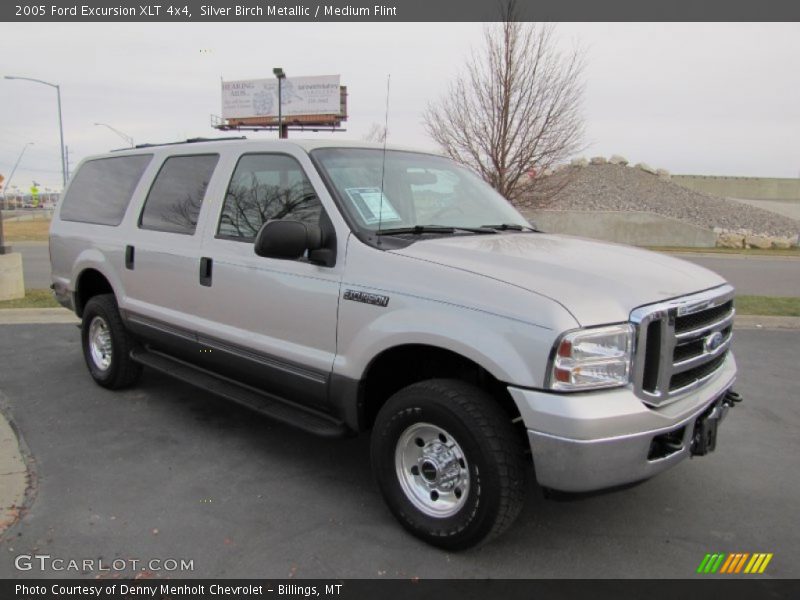 Silver Birch Metallic / Medium Flint 2005 Ford Excursion XLT 4x4