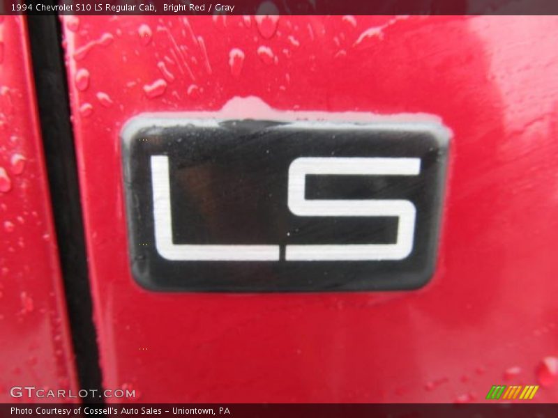  1994 S10 LS Regular Cab Logo
