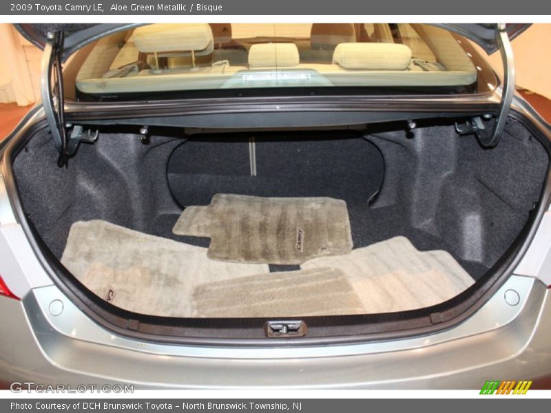 Aloe Green Metallic / Bisque 2009 Toyota Camry LE