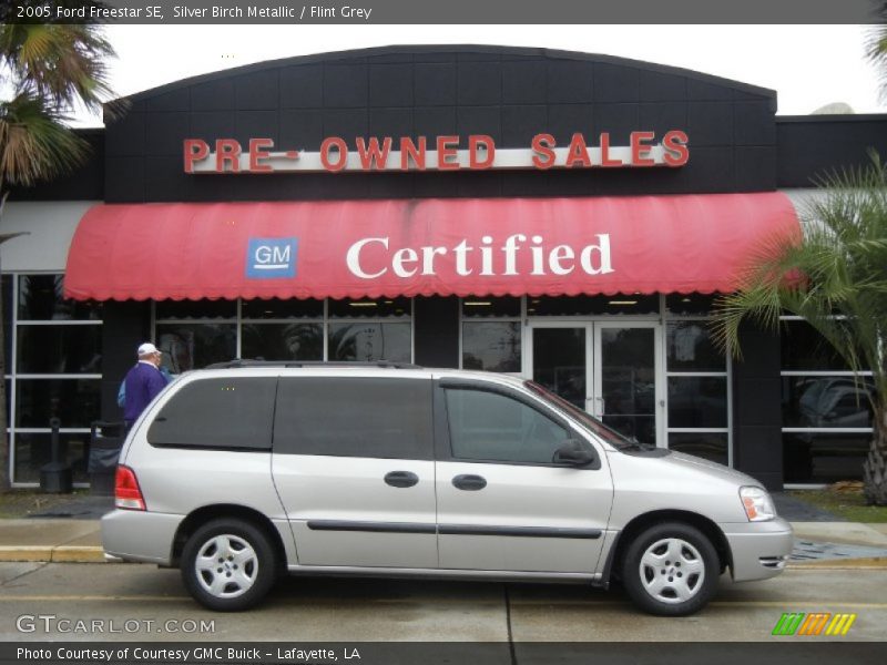 Silver Birch Metallic / Flint Grey 2005 Ford Freestar SE