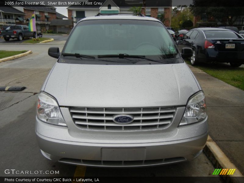 Silver Birch Metallic / Flint Grey 2005 Ford Freestar SE