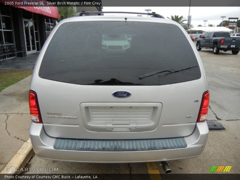 Silver Birch Metallic / Flint Grey 2005 Ford Freestar SE