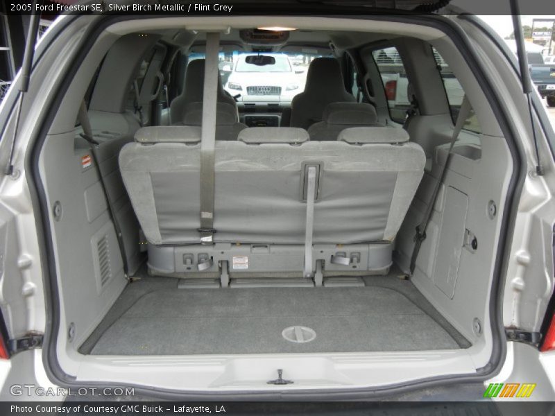 Silver Birch Metallic / Flint Grey 2005 Ford Freestar SE
