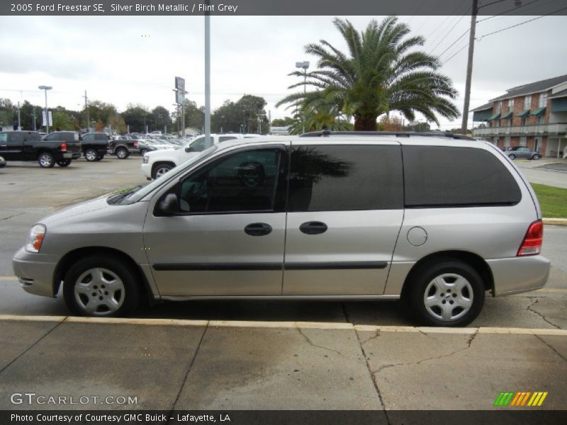 Silver Birch Metallic / Flint Grey 2005 Ford Freestar SE