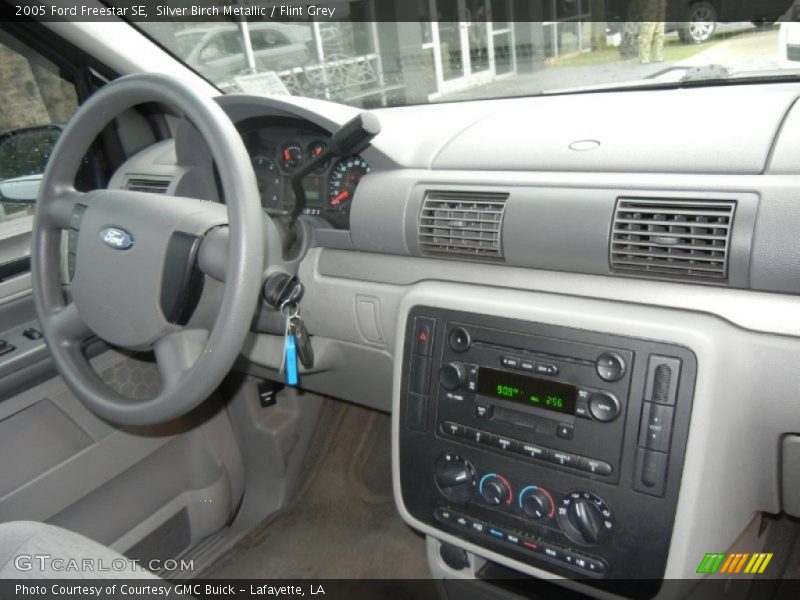 Silver Birch Metallic / Flint Grey 2005 Ford Freestar SE