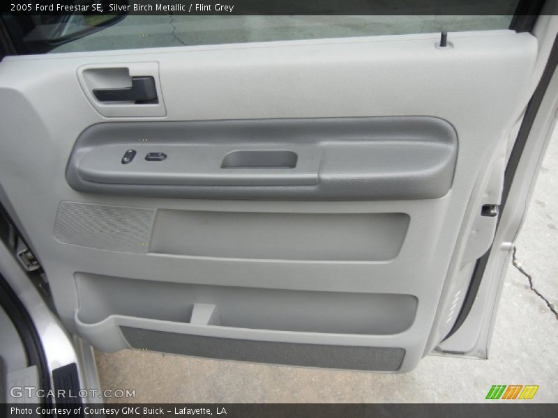 Silver Birch Metallic / Flint Grey 2005 Ford Freestar SE