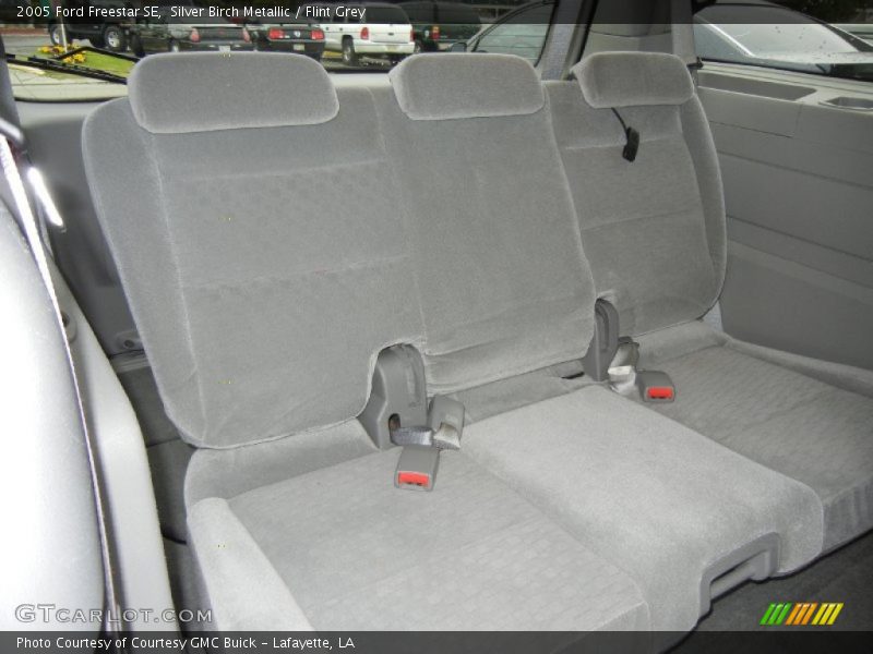 Silver Birch Metallic / Flint Grey 2005 Ford Freestar SE