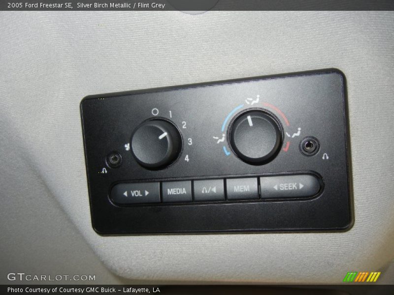 Silver Birch Metallic / Flint Grey 2005 Ford Freestar SE
