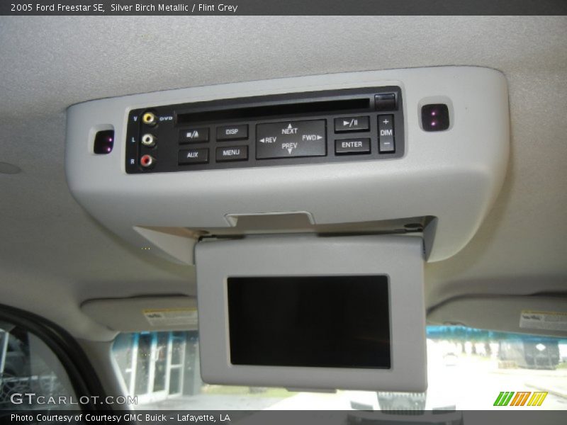 Silver Birch Metallic / Flint Grey 2005 Ford Freestar SE