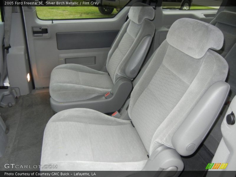 Silver Birch Metallic / Flint Grey 2005 Ford Freestar SE