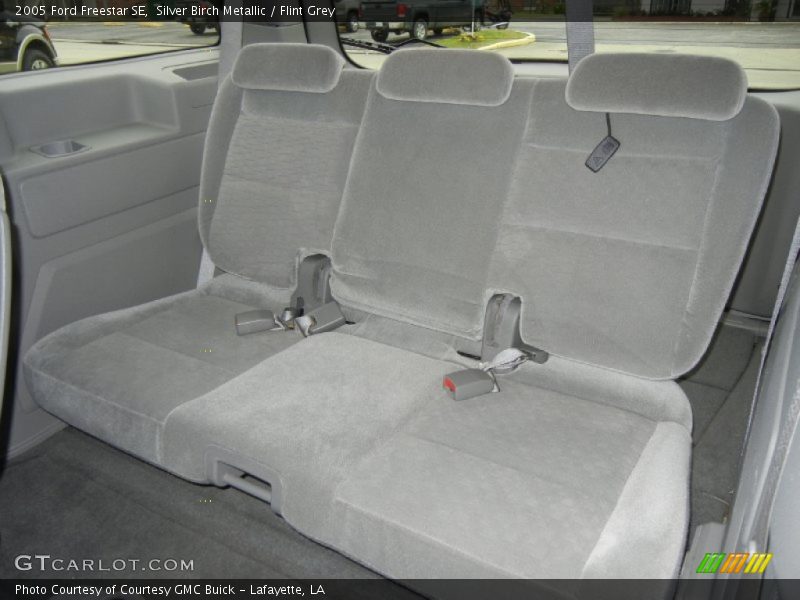 Silver Birch Metallic / Flint Grey 2005 Ford Freestar SE