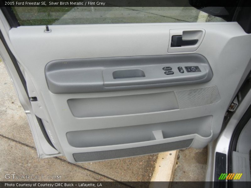 Silver Birch Metallic / Flint Grey 2005 Ford Freestar SE
