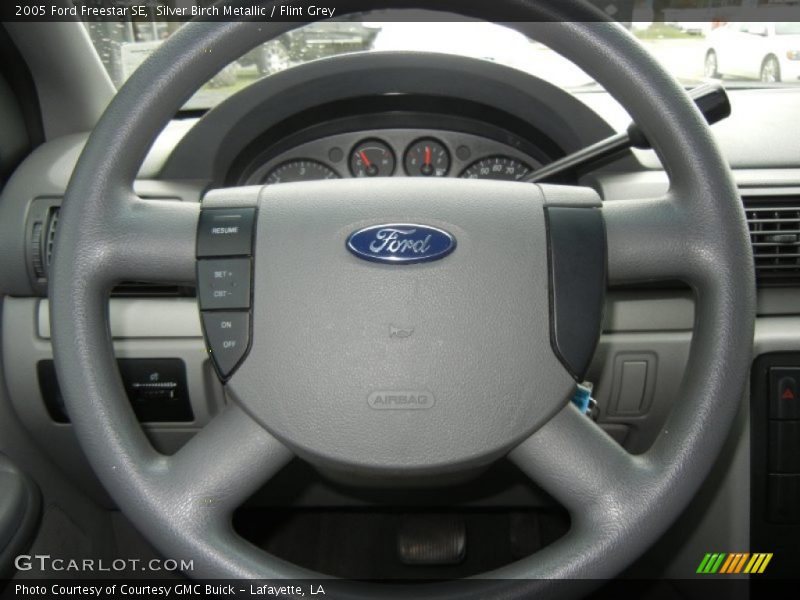 Silver Birch Metallic / Flint Grey 2005 Ford Freestar SE