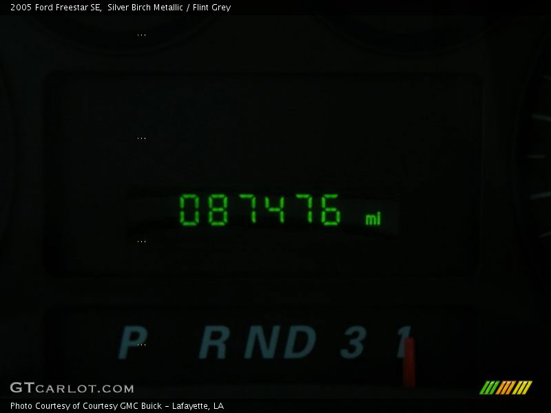 Silver Birch Metallic / Flint Grey 2005 Ford Freestar SE