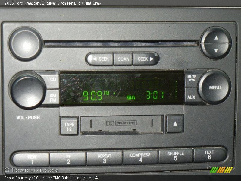 Silver Birch Metallic / Flint Grey 2005 Ford Freestar SE