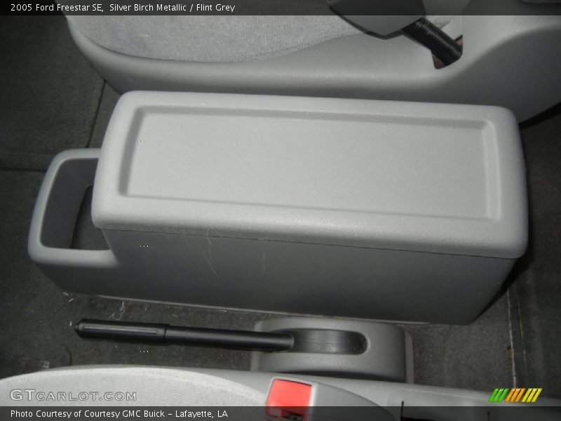 Silver Birch Metallic / Flint Grey 2005 Ford Freestar SE