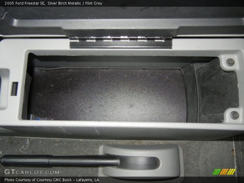 Silver Birch Metallic / Flint Grey 2005 Ford Freestar SE