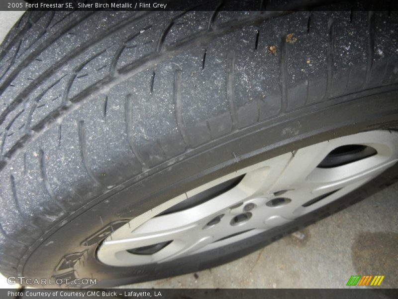 Silver Birch Metallic / Flint Grey 2005 Ford Freestar SE