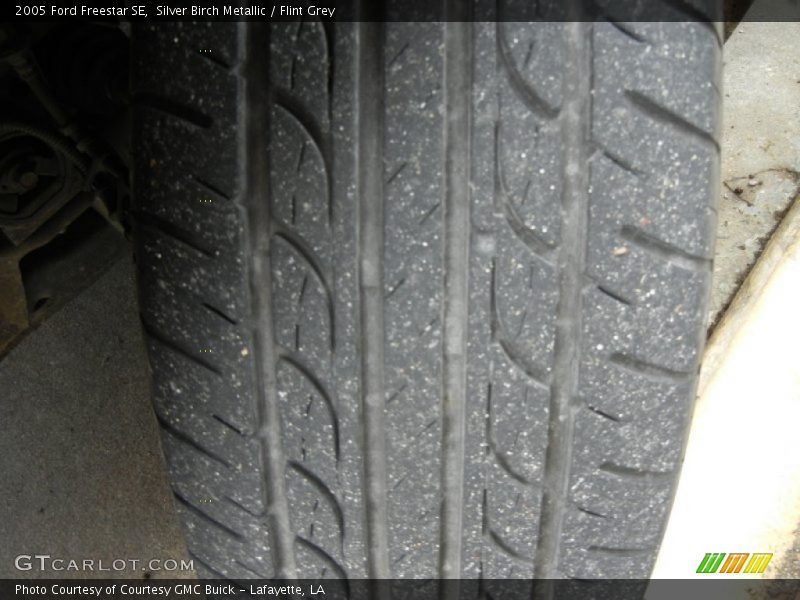 Silver Birch Metallic / Flint Grey 2005 Ford Freestar SE