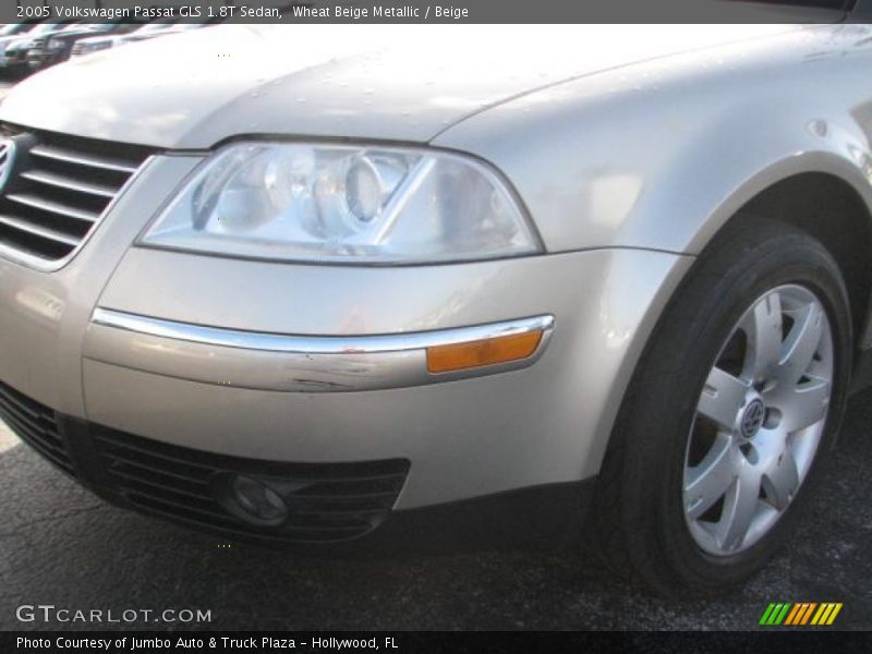 Wheat Beige Metallic / Beige 2005 Volkswagen Passat GLS 1.8T Sedan