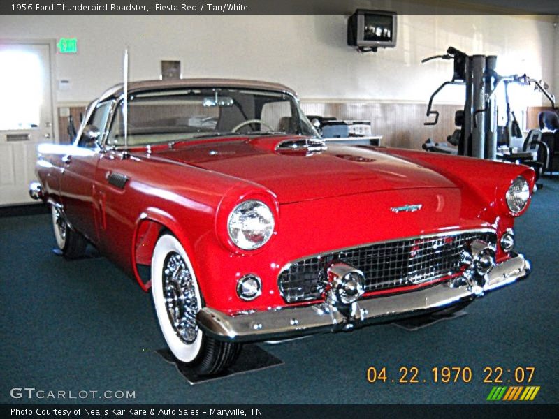 Fiesta Red / Tan/White 1956 Ford Thunderbird Roadster