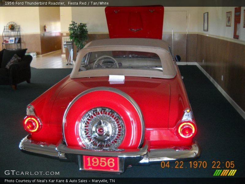 Fiesta Red / Tan/White 1956 Ford Thunderbird Roadster