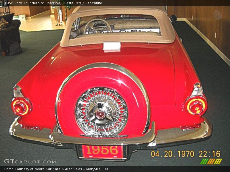 Fiesta Red / Tan/White 1956 Ford Thunderbird Roadster