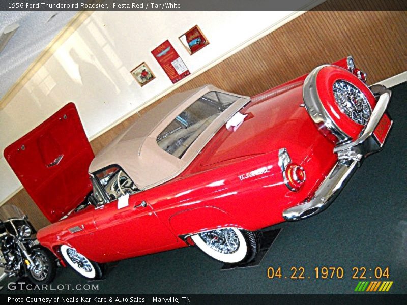 Fiesta Red / Tan/White 1956 Ford Thunderbird Roadster