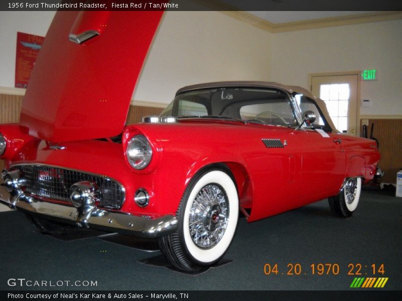Fiesta Red / Tan/White 1956 Ford Thunderbird Roadster