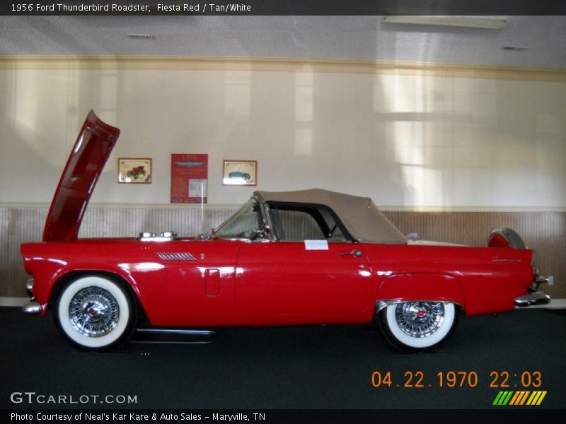  1956 Thunderbird Roadster Fiesta Red